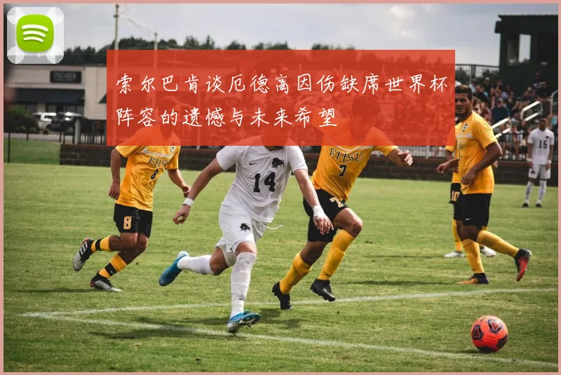 索尔巴肯谈厄德高因伤缺席世界杯阵容的遗憾与未来希望